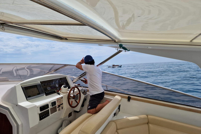 Tour boat Amalfi coast - capri