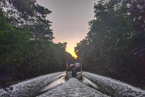 Atins boat transfer (shared)Barreirinhas x Atins boat transfer (shared)