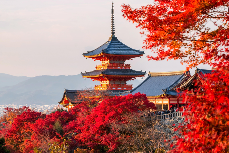 Osaka: Kyoto & Uji Day Tour, Kinkakuji&Kiyomizudera&Byodo-in Kyoto & Uji Day Tour | 8:00 AM from Osaka
