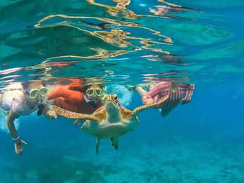 West Palm Beach: Excursión guiada de snorkel por el Puente de la Garza Azul