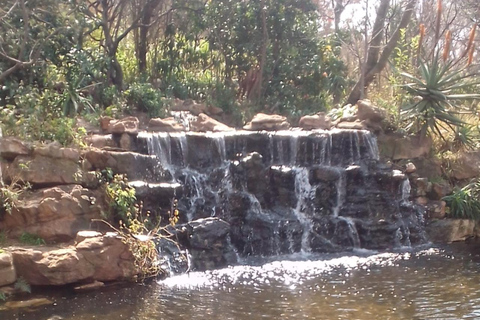 Joanesburgo: Caminhada na Reserva Natural The WildsJoanesburgo: Caminhada pela Reserva Natural The Wilds