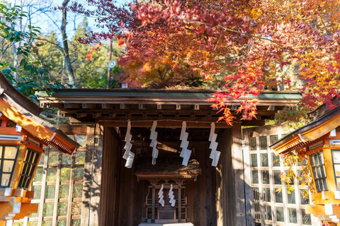 Tokio: Ganztagestour zu den vier majestätischen Orten des Mt. Fuji