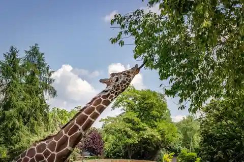 4 Days of Adventure and Wildlife Encounters into the Wild