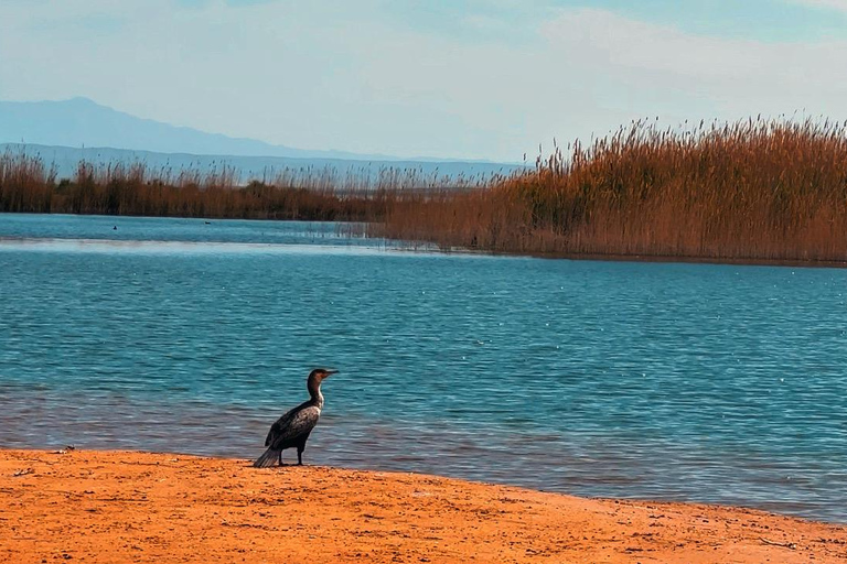 From Bukhara/Samarkand: 2-Day Aydarkul Lake & Yurt Camp Tour Private tour to Aydar Lake & Yurt from Bukhara to samarkand