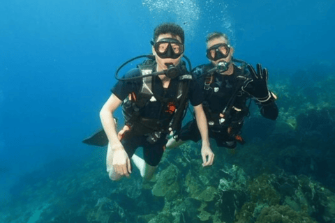 Private Catalina Island Beginner Scuba Adventure