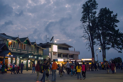 Tokyo: Private Mt. Fuji Luxury Day Tour – Fully Customizable Luxury Land Cruise Customizable Tour