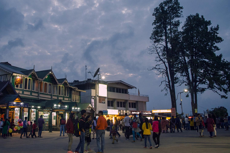 Tokyo: Private Mt. Fuji Luxury Day Tour – Fully Customizable Luxury Land Cruise Customizable Tour