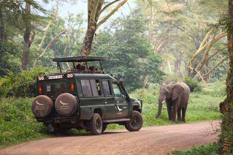 Safari di 2 giorni nel Tarangire e nel cratere di Ngorongoro