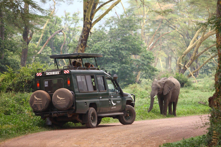 2 dagars safari i Tarangire och Ngorongorokratern