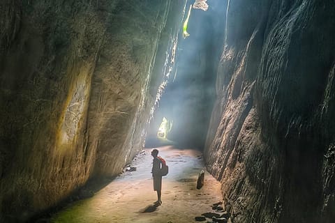 Tijuca Forest Hiking Tour: getting back in touch with nature