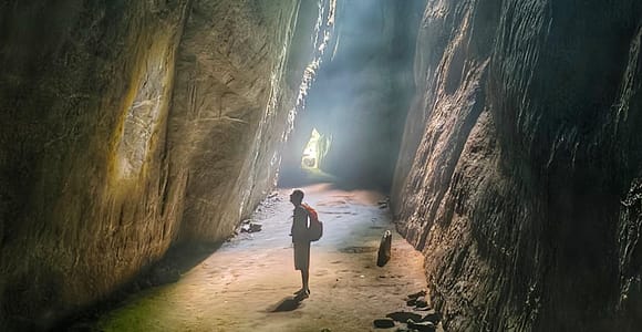 Tijuca Forest Hiking Tour: getting back in touch with nature