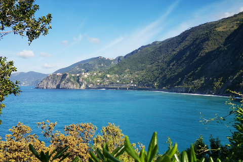 Från Florens: Dagsutflykt i liten grupp till Cinque Terre och Pisa