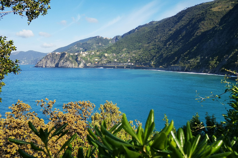 Da Firenze: Tour per piccoli gruppi di un giorno alle Cinque Terre e a Pisa