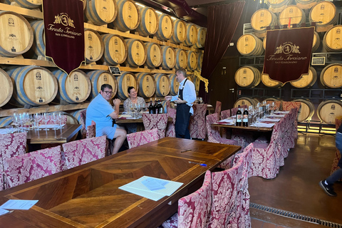 Florence: Pisa, Siena, & San Gimignano Day Trip with Lunch VIP SMALL GROUP