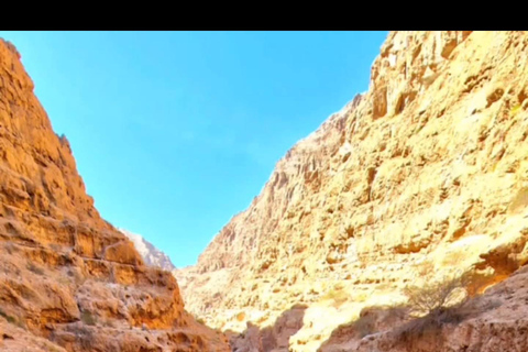 Visite du Wadi Shab