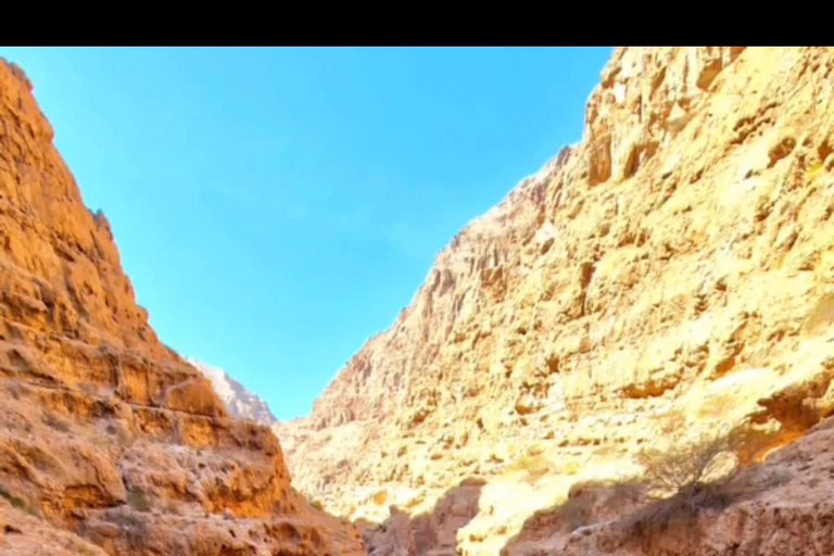 Visite du Wadi Shab