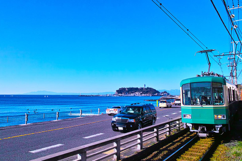 Tour de 1 dia pelo Buda de Kamakura, Enoshima, santuário saindo de TóquioVocê será buscado na estação de Shinjuku às 8h30