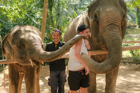 Krabi: Nutrire e fotografare gli elefanti