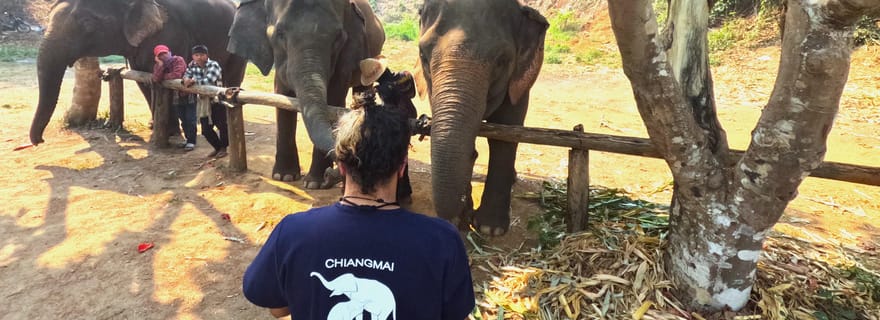 Journée complète avec CHIANGMAI ELEPHANT CARE et Sticky waterfall (chute d'eau collante)
