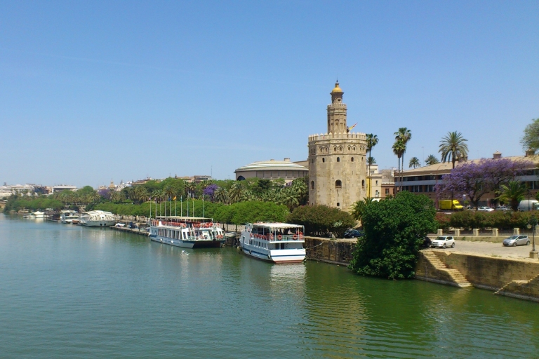 Full-Day Tour of Seville from Costa del Sol From Marbella in German