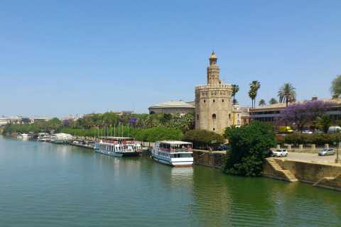 Fra Costa del Sol: Guidet heldagstur til Sevilla