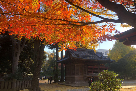 Old and Nostalgic Tokyo: Half-Day Yanaka Walking Tour