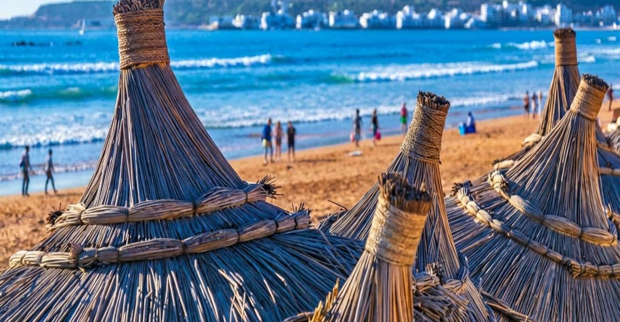 From Marrakech: Full-Day Trip to Agadir