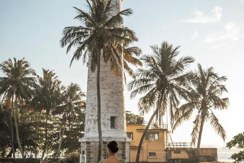 Bentota: River Safari, Turtle Hatchery & Galle Fort Day Tour