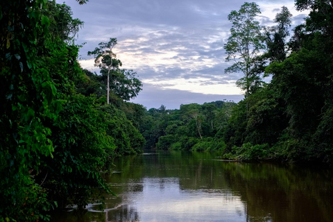River Day Tour - Manaus + Digital Visitor Kit