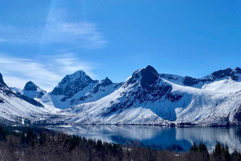 From Tromsø: Discover Senja Island with Local Guide From Tromsø: Privately Discover Senja with Local Guide
