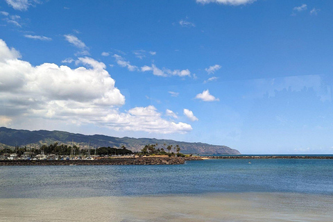 Oahu: Haleiwa &amp; Dole Plantation Deluxe Tour