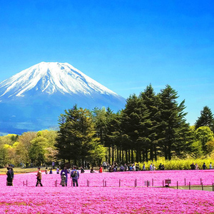 Tokyo: Mount Fuji, Kawaguchi Lake, Oshino Hakkai 1-Day Trip