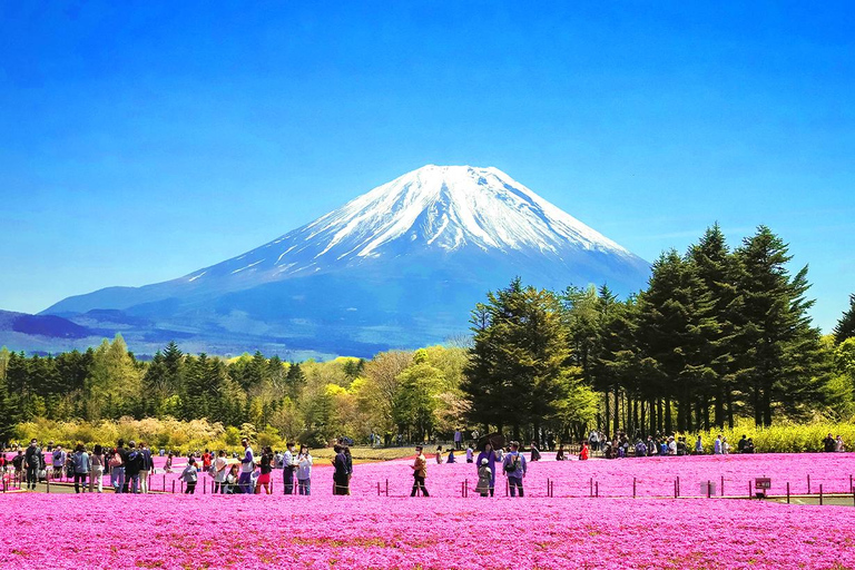 Visite des 6 attractions du mont Fuji : lac Kawaguchi, Oshino HakkaiLieu de rendez-vous : gare de Tokyo à 8 h 00.