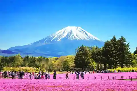 Tokio: Excursión de 1 día al Monte Fuji, Lago Kawaguchi y Oshino Hakkai