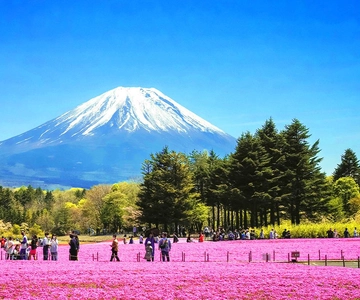 Tokyo: Mount Fuji, Kawaguchi Lake, Oshino Hakkai 1-Day Trip