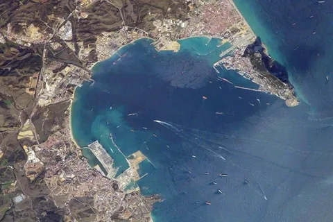 Bahía de Gibraltar: Crucero con delfines
