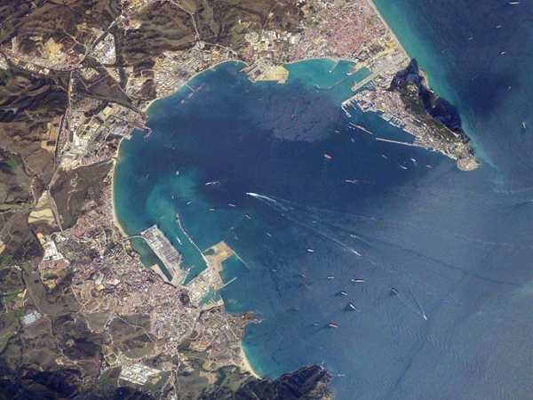 Bucht von Gibraltar: Delphin-Bootsfahrt