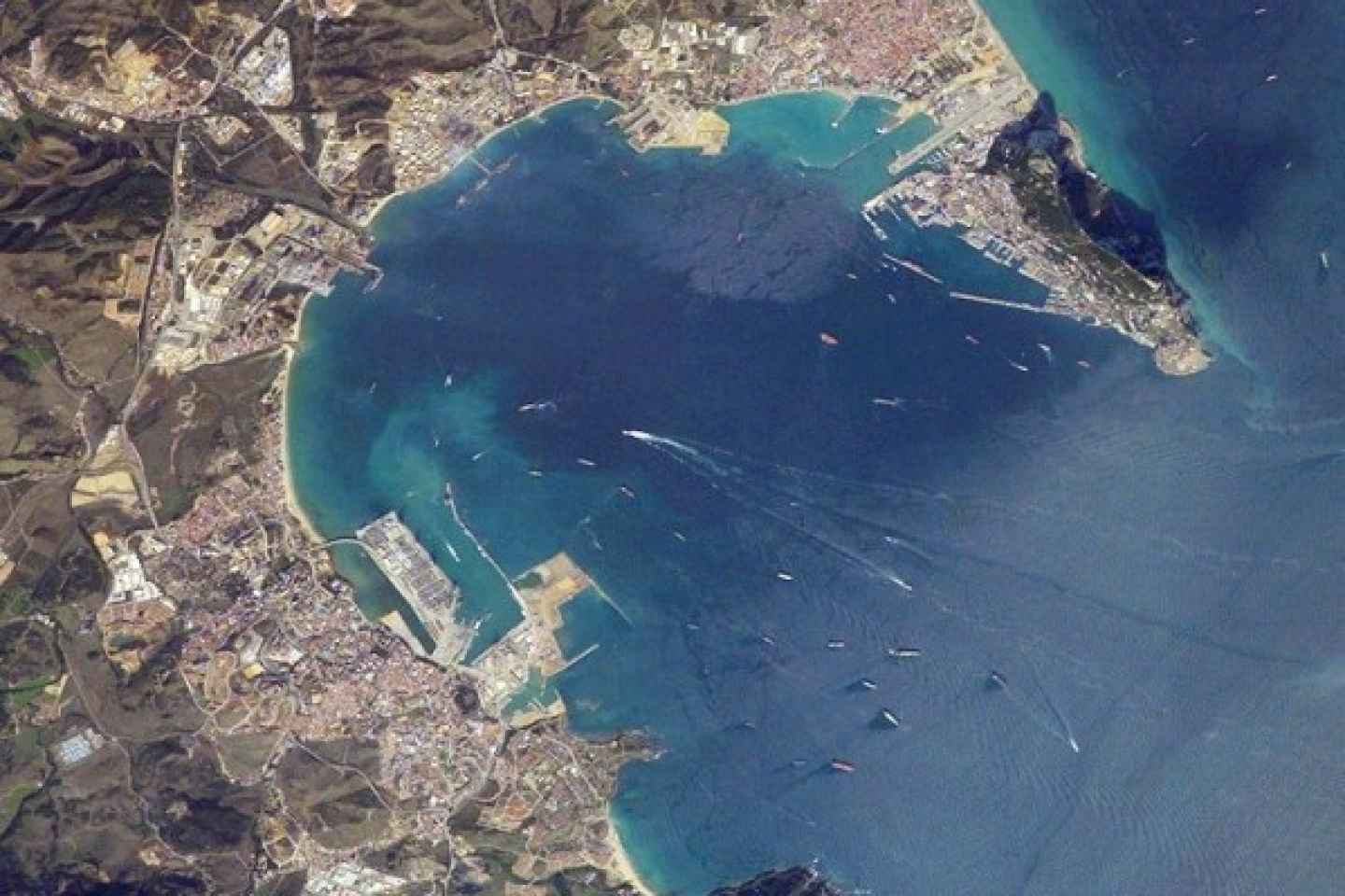 Bucht von Gibraltar: Bootsfahrt mit Delfin-Watching