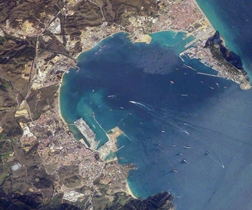 Bay of Gibraltar: Dolphin Cruise