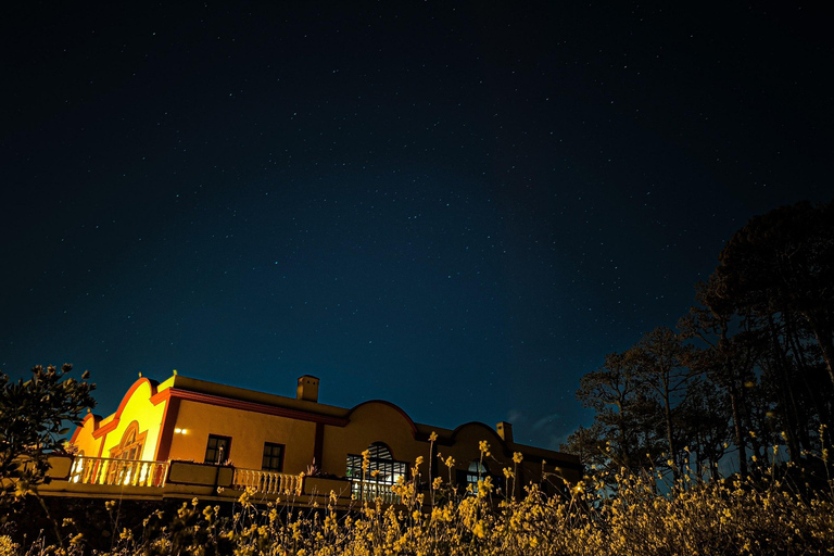 La Palma: Stargazing & Wine Tasting at Bodegas Teneguía