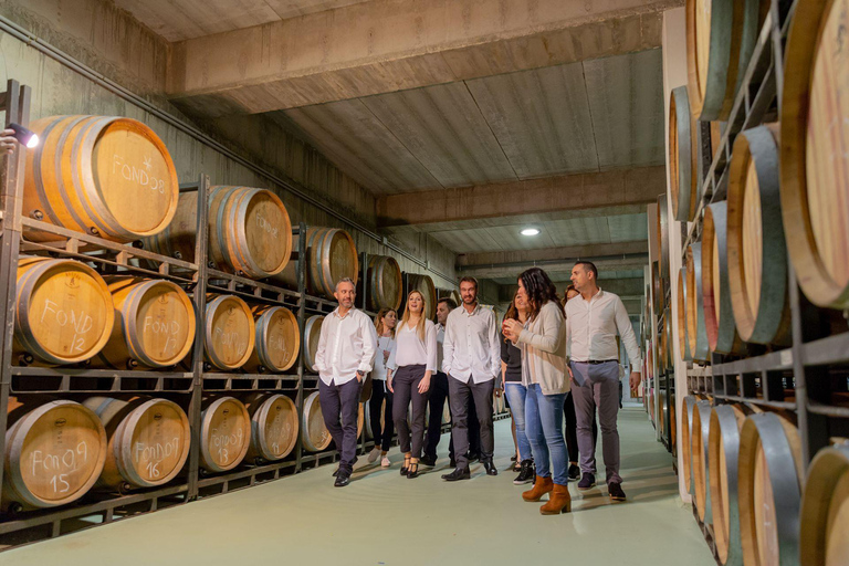 Alicante: Premium Winery: Guided tour with 6 tastings and a special gift