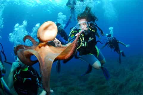 Ibiza Scuba Diving for Beginners and Snorkeling