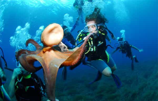 Ibiza Scuba Diving for Beginners and Snorkeling