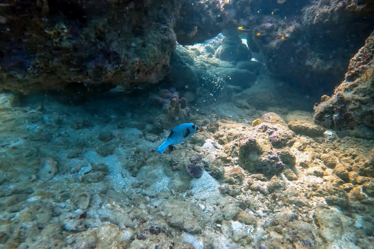 Scuba diving from stunning coral reef in the heart of Phuket