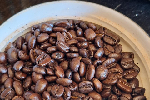 Nairobi: Fairview Coffee Farm Day Trip with Hotel Pickup