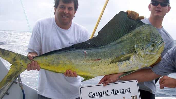 fort lauderdale sport fishing charters