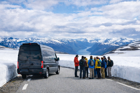 Bergen: Sognefjord & Hardangerfjord Tour