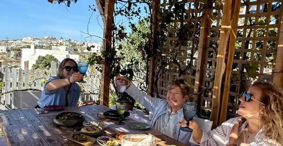 Santorini: Farm Experience with Lunch & Traditional Villages