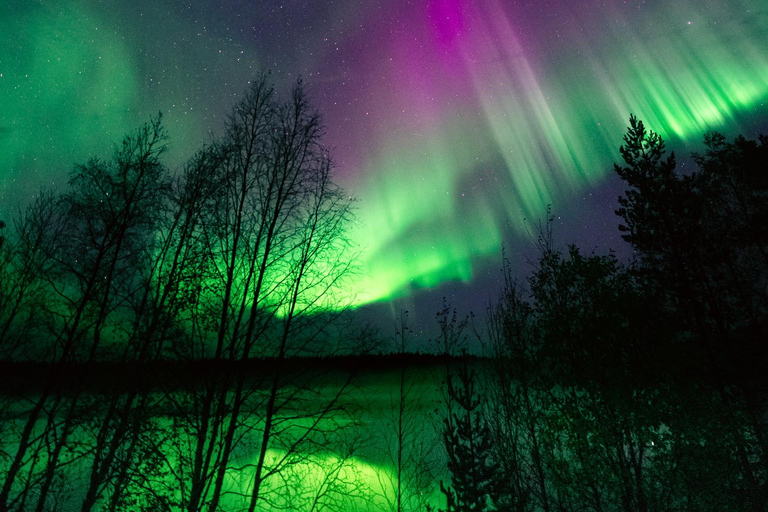 Levi: Nordlichter Pro garantiert – unbegrenzte EntfernungLevi: Nordlichter garantiert – unbegrenzte Entfernung