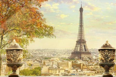 Paryż: Prywatny transfer z lotniska CDG do miasta Paryż